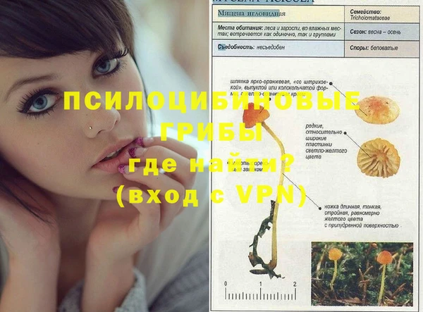 ALPHA-PVP Ростов