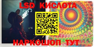 spice Кингисепп