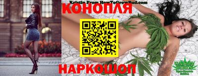 spice Кингисепп
