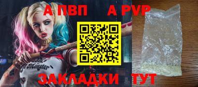 spice Кингисепп