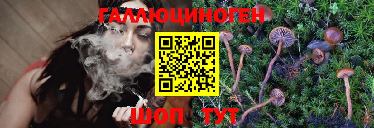 Псилоцибиновые грибы GOLDEN TEACHER  Вход с VPN  Сухой Лог 